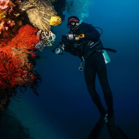 scuba diver at helihana rote island indonesia
